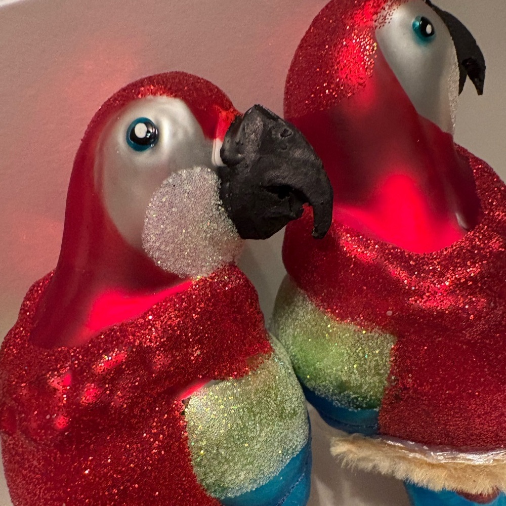 Colorful Parrot Bird Ornament Set - Picture 12 of 13